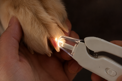 LED light showing the quick inside a dog's nail during a safe trim